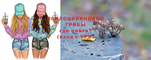 прущий лед Елабуга