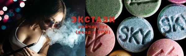 2c-b Ельня