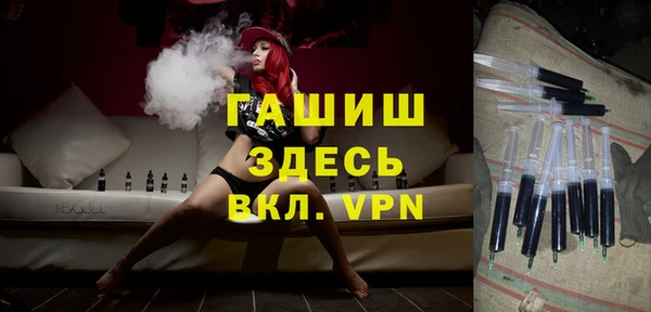 2c-b Ельня