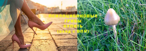 2c-b Ельня