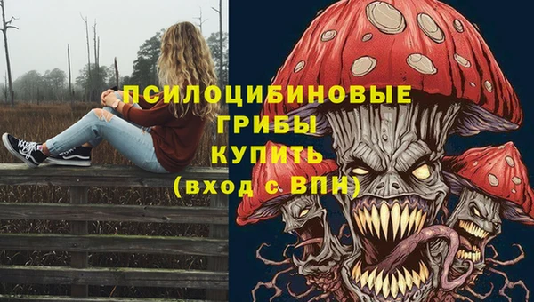 MESCALINE Елизово