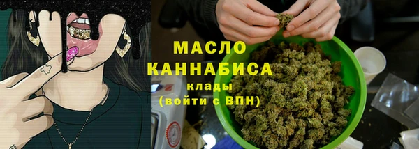 2c-b Ельня