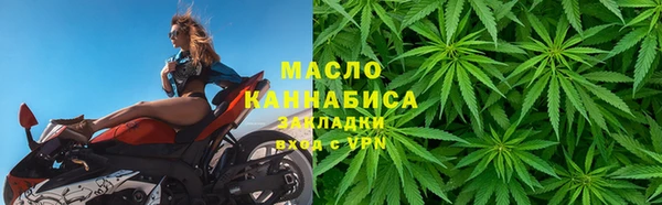 2c-b Ельня